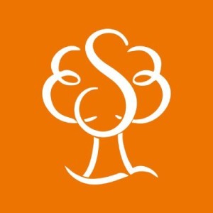 Swindon Borough Council